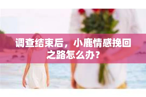 调查结束后，小鹿情感挽回之路怎么办？