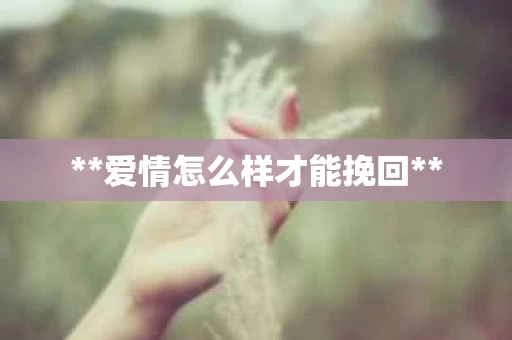 **爱情怎么样才能挽回**