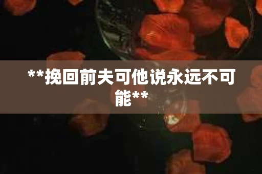 **挽回前夫可他说永远不可能**