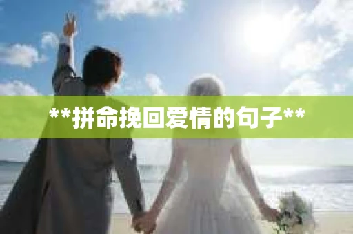 **拼命挽回爱情的句子**