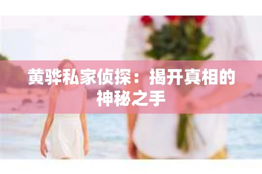 黄骅私家侦探：揭开真相的神秘之手