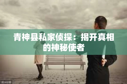 青神县私家侦探：揭开真相的神秘使者