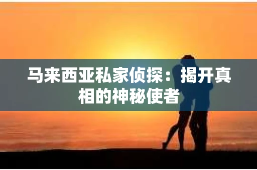 马来西亚私家侦探：揭开真相的神秘使者