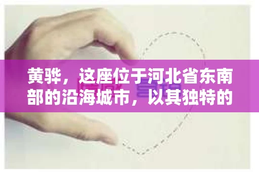 黄骅，这座位于河北省东南部的沿海城市，以其独特的地理位置和丰富的历史文化而闻名。然而，在这座城市中，还有一群人，他们以另一种方式默默守护着社会的公平与正义——私家侦探。今天，我们就来聊聊黄骅的私家侦探，看看他们是如何在这个城市中发挥作用的。