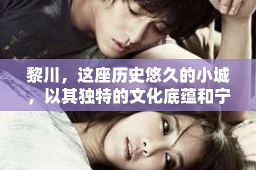 黎川，这座历史悠久的小城，以其独特的文化底蕴和宁静的生活节奏吸引着无数游客。然而，在这样一个看似平静的城市里，你是否会好奇，有没有私家侦探机构的存在呢？今天，就让我带你一探究竟。