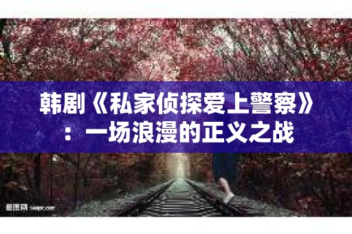 韩剧《私家侦探爱上警察》：一场浪漫的正义之战