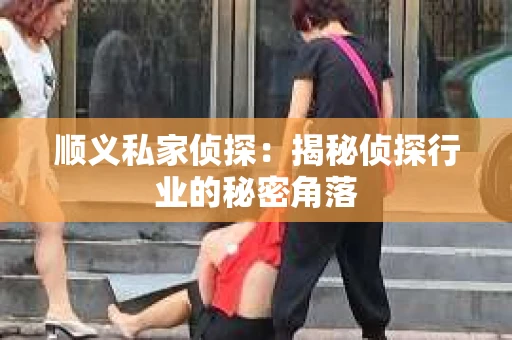 顺义私家侦探:揭秘侦探行业的秘密角落 顺义私家侦探:揭秘侦探行业的秘密角落