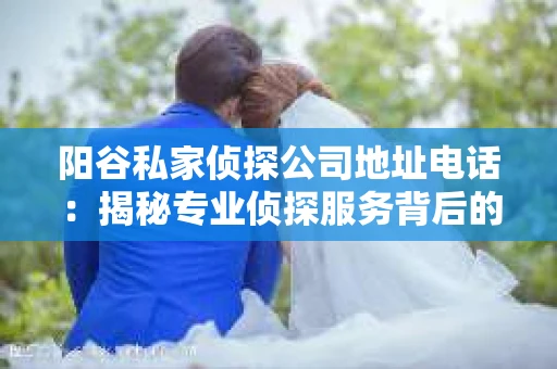 阳谷私家侦探公司地址电话：揭秘专业侦探服务背后的故事