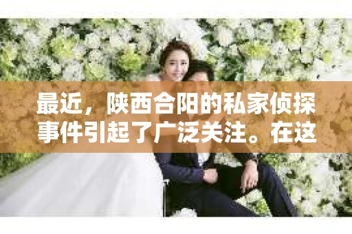 最近，陕西合阳的私家侦探事件引起了广泛关注。在这个信息爆炸的时代，隐私保护显得尤为重要。今天，我们就来聊聊这个事件，看看它背后的一些故事。