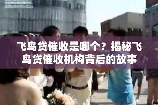 飞鸟贷催收是哪个？揭秘飞鸟贷催收机构背后的故事