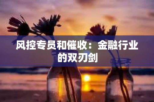 风控专员和催收：金融行业的双刃剑