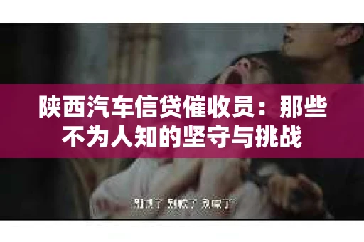 陕西汽车信贷催收员：那些不为人知的坚守与挑战