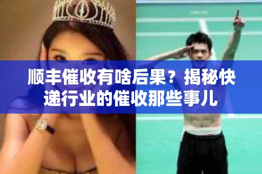 顺丰催收有啥后果?揭秘快递行业的催收那些事儿 顺丰催收有啥后果?揭秘快递行业的催收那些事儿