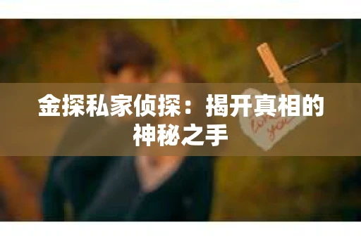 金探私家侦探：揭开真相的神秘之手