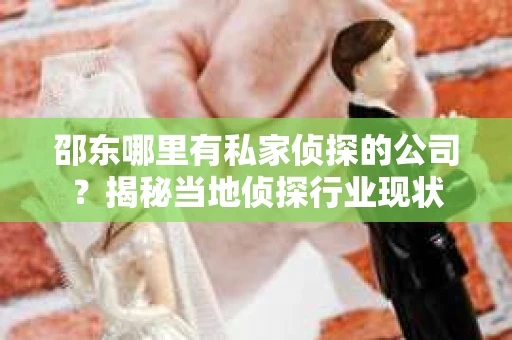 邵东哪里有私家侦探的公司？揭秘当地侦探行业现状