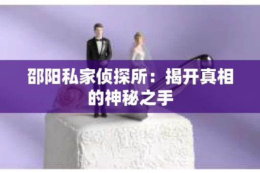 邵阳私家侦探所：揭开真相的神秘之手