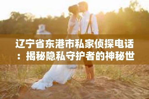 辽宁省东港市私家侦探电话：揭秘隐私守护者的神秘世界