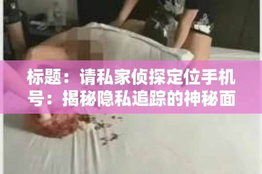 标题：请私家侦探定位手机号：揭秘隐私追踪的神秘面纱