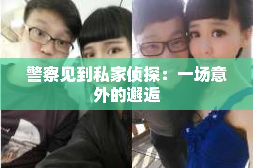 警察见到私家侦探：一场意外的邂逅