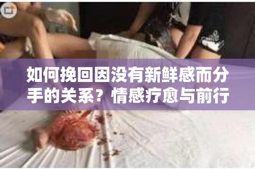 如何挽回因没有新鲜感而分手的关系?情感疗愈与前行计划 如何挽回因没有新鲜感而分手的关系?情感疗愈与前行计划