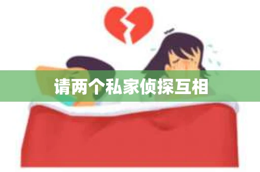 请两个私家侦探互相