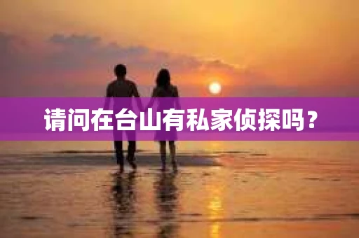 请问在台山有私家侦探吗？