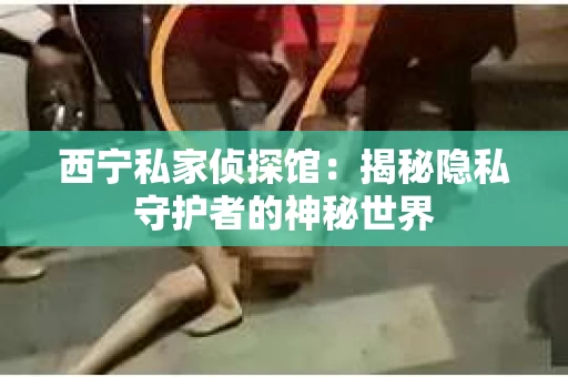 西宁私家侦探馆：揭秘隐私守护者的神秘世界