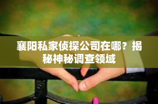 襄阳私家侦探公司在哪？揭秘神秘调查领域