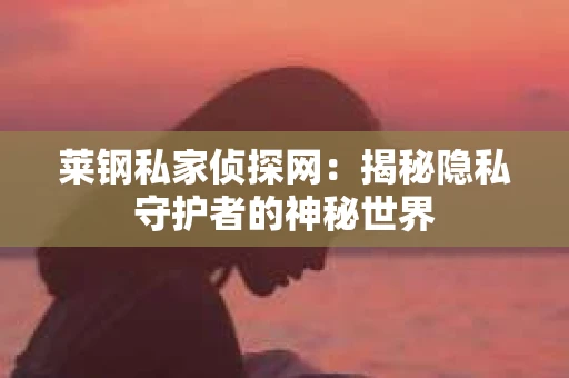 莱钢私家侦探网：揭秘隐私守护者的神秘世界