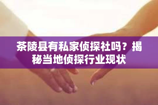 茶陵县有私家侦探社吗？揭秘当地侦探行业现状