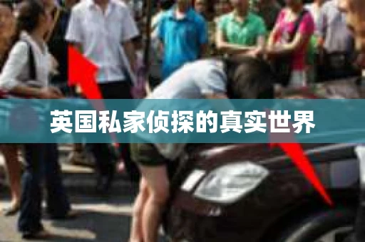 英国私家侦探的真实世界