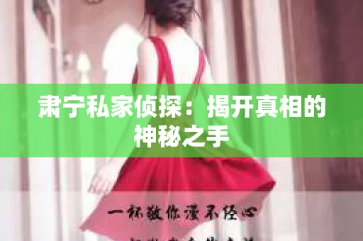 肃宁私家侦探：揭开真相的神秘之手