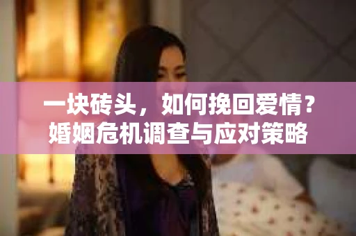 一块砖头，如何挽回爱情？婚姻危机调查与应对策略