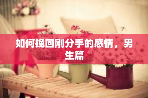 如何挽回刚分手的感情,男生篇 如何挽回刚分手的感情,男生篇
