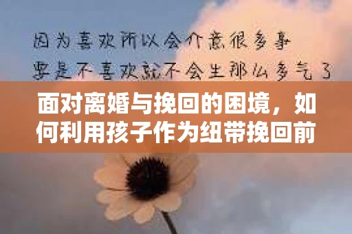 面对离婚与挽回的困境，如何利用孩子作为纽带挽回前夫的技巧？