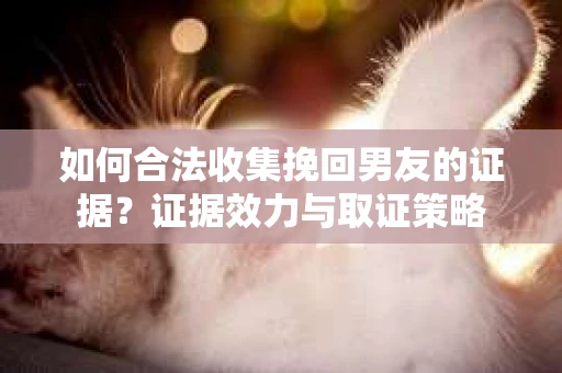 如何合法收集挽回男友的证据?证据效力与取证策略 如何合法收集挽回男友的证据?证据效力与取证策略