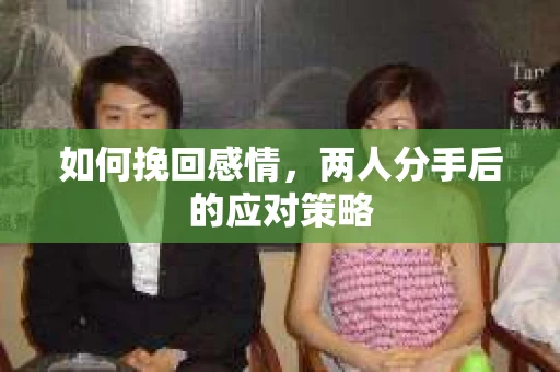 如何挽回感情,两人分手后的应对策略 如何挽回感情,两人分手后的应对策略