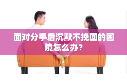 面对分手后沉默不挽回的困境怎么办？