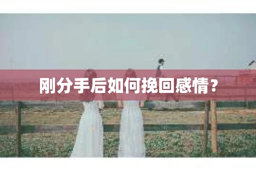 刚分手后如何挽回感情？